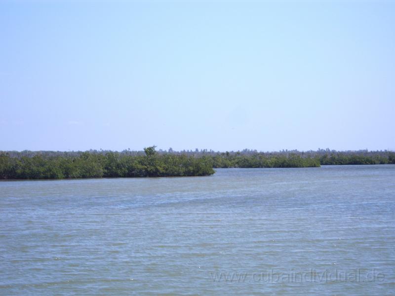 IMG00058.JPG
