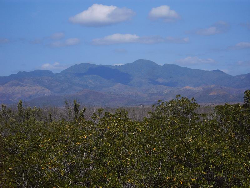 IMG00060.JPG
