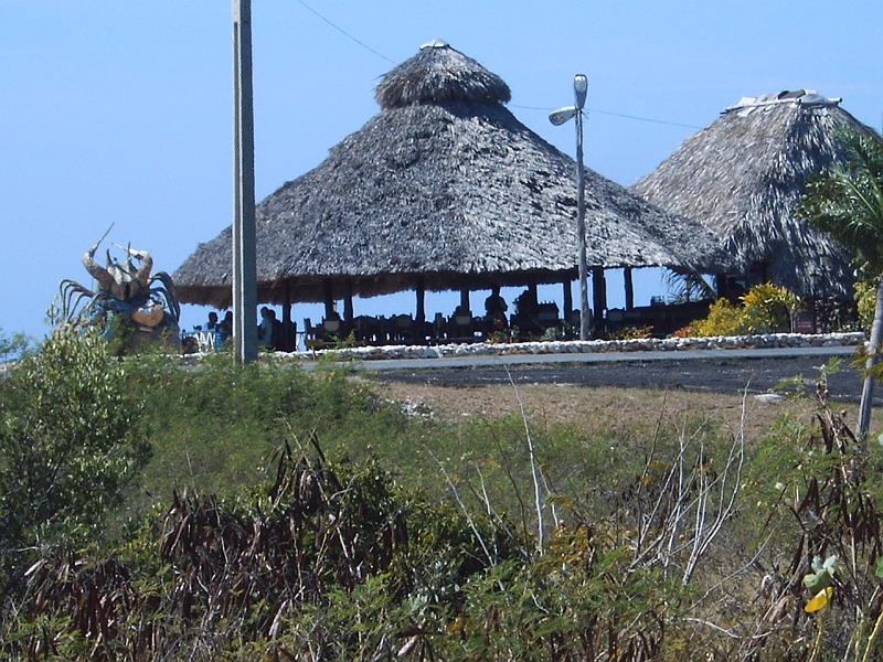 IMG00061.JPG