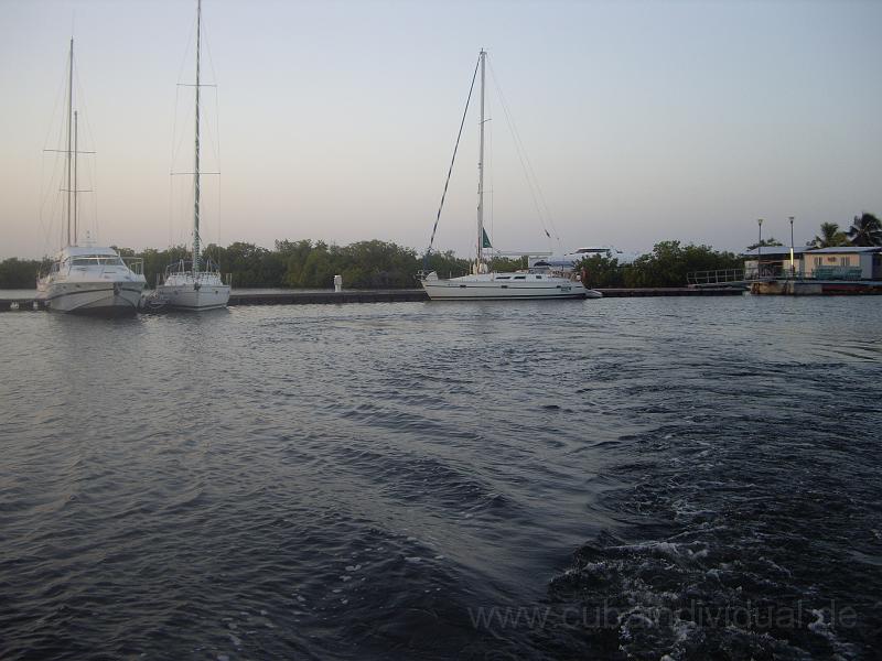 IMGP0346.JPG