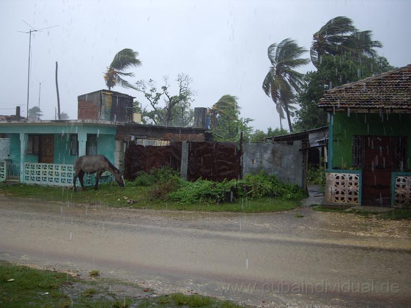 IMGP0526.JPG