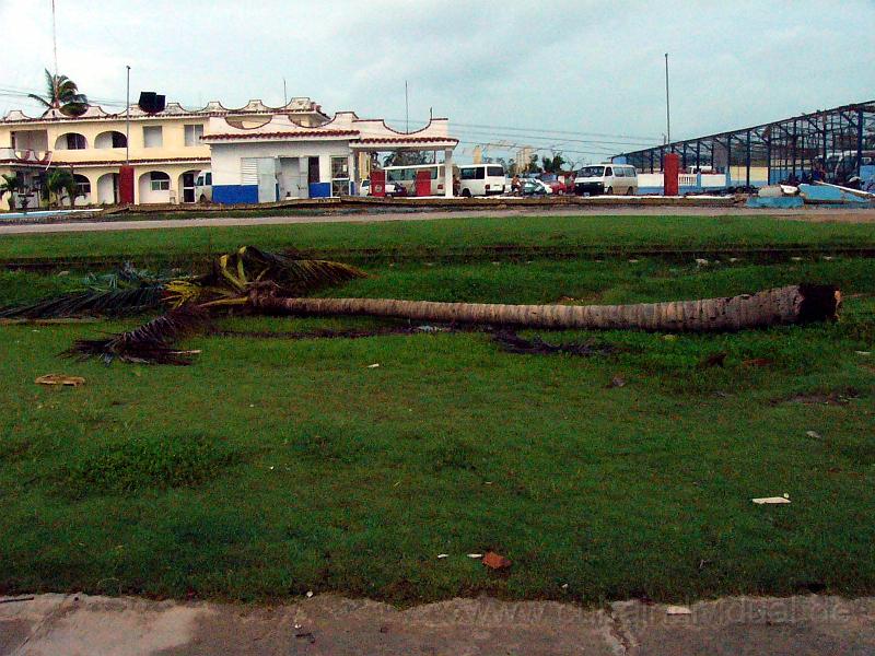 P1030397.JPG